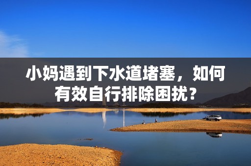 小妈遇到下水道堵塞，如何有效自行排除困扰？