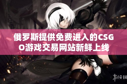 俄罗斯提供免费进入的CSGO游戏交易网站新鲜上线