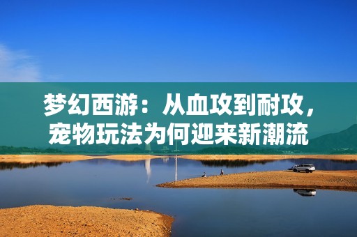 梦幻西游：从血攻到耐攻，宠物玩法为何迎来新潮流