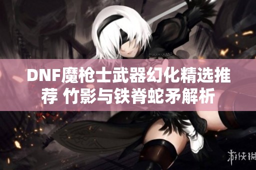 DNF魔枪士武器幻化精选推荐 竹影与铁脊蛇矛解析