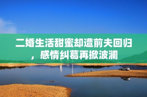 二婚生活甜蜜却遭前夫回归，感情纠葛再掀波澜