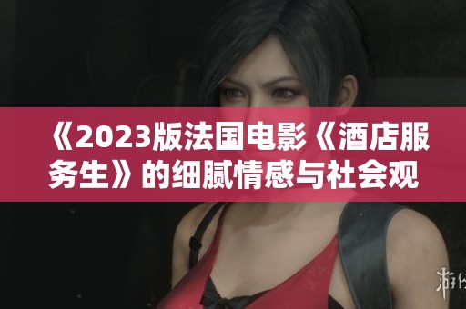 《2023版法国电影《酒店服务生》的细腻情感与社会观察》