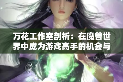 万花工作室剖析：在魔兽世界中成为游戏高手的机会与挑战