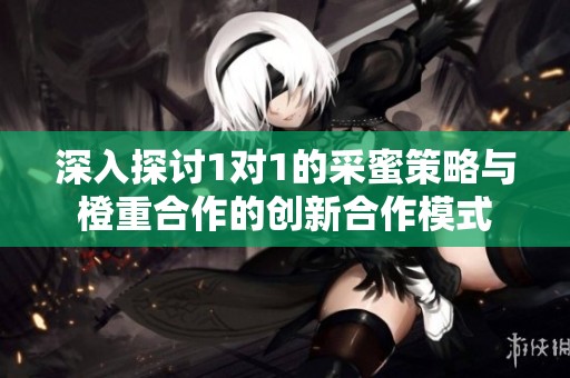 深入探讨1对1的采蜜策略与橙重合作的创新合作模式