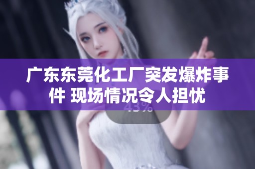 广东东莞化工厂突发爆炸事件 现场情况令人担忧