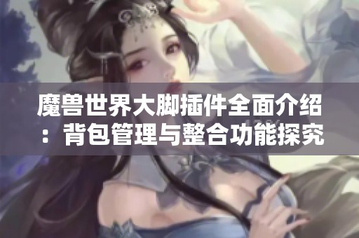 魔兽世界大脚插件全面介绍：背包管理与整合功能探究