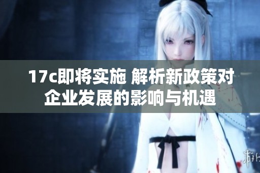 17c即将实施 解析新政策对企业发展的影响与机遇