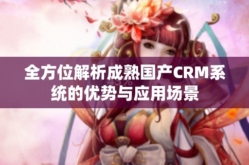全方位解析成熟国产CRM系统的优势与应用场景