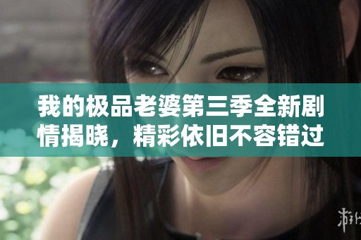 我的极品老婆第三季全新剧情揭晓，精彩依旧不容错过