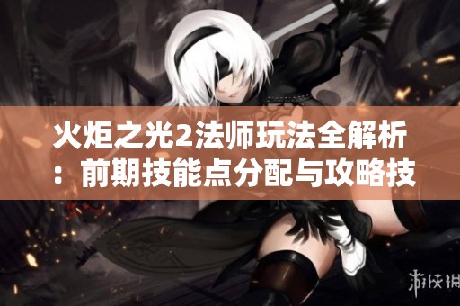 火炬之光2法师玩法全解析：前期技能点分配与攻略技巧指南