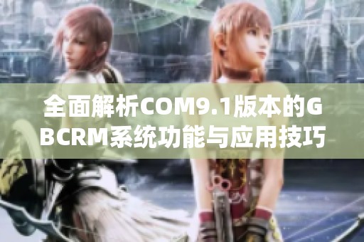 全面解析COM9.1版本的GBCRM系统功能与应用技巧