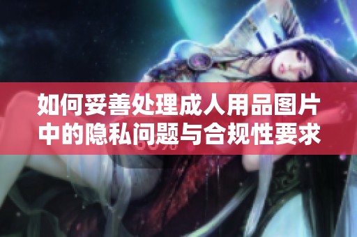 如何妥善处理成人用品图片中的隐私问题与合规性要求