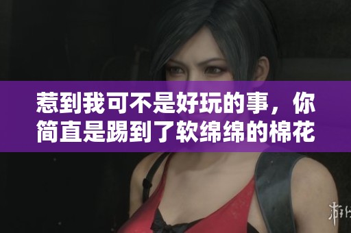 惹到我可不是好玩的事，你简直是踢到了软绵绵的棉花球