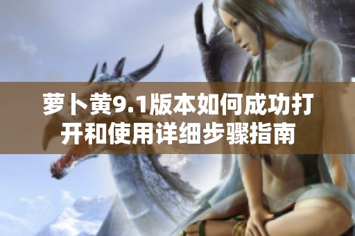 萝卜黄9.1版本如何成功打开和使用详细步骤指南