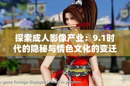 探索成人影像产业：9.1时代的隐秘与情色文化的变迁