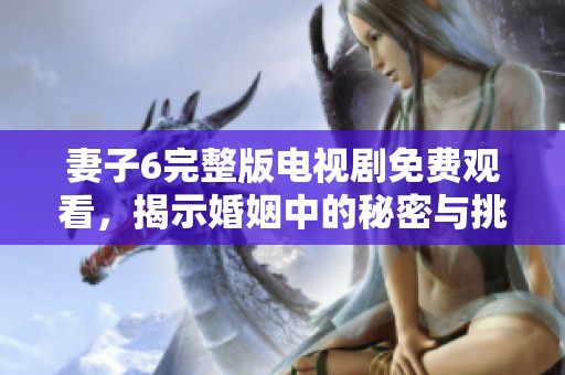 妻子6完整版电视剧免费观看，揭示婚姻中的秘密与挑战精彩纷呈