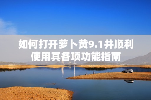如何打开萝卜黄9.1并顺利使用其各项功能指南