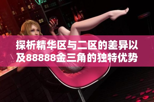 探析精华区与二区的差异以及88888金三角的独特优势
